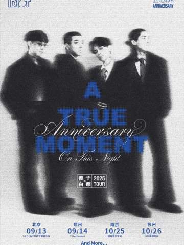 傻子与白痴A true moment