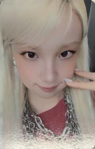pp预售 ver.B