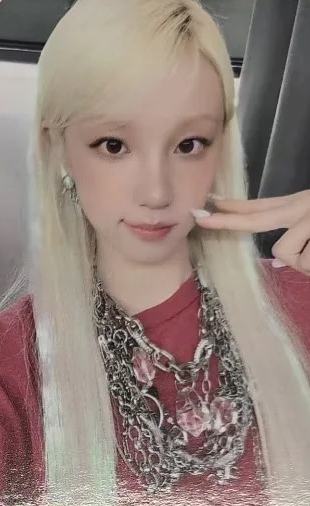 pp预售 ver.C