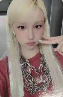 pp预售 ver.A
