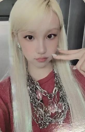 pp预售 ver.A