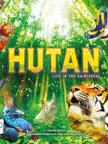 HUTAN: Life in the Rainforest