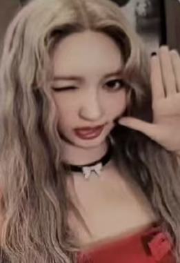 美网 秋