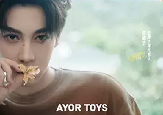 AYORTOYS代言卡 ver.B