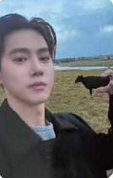 stranger版专卡 ver.A