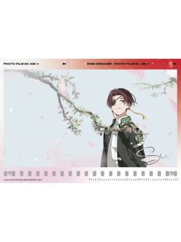 苏枋隼飞-天闻角川亚克力摆件