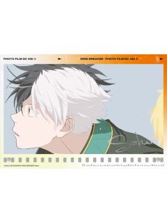 樱遥-天闻角川亚克力摆件