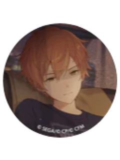 东云彰人 A-活动柄细闪吧唧vol.47