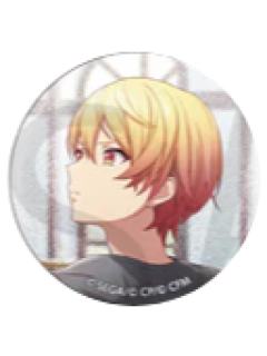 天马司 B-活动柄细闪吧唧vol.47