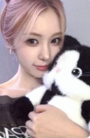 hl签售3.0 1 线上ver.