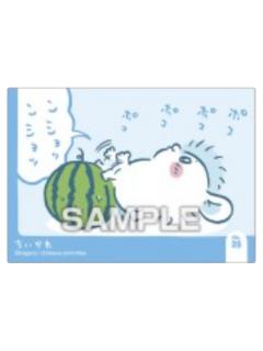 飞鼠B-Ensky食玩闪透卡