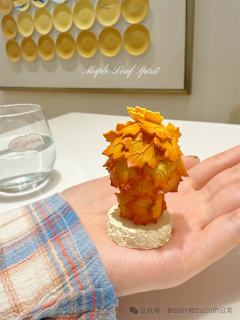 枫叶小精灵-资料图