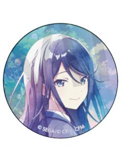 星乃一歌-五周年队长主视图吧唧