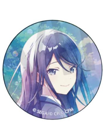 星乃一歌-五周年队长主视图吧唧