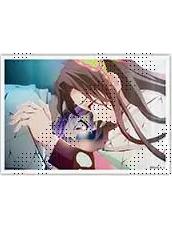 蝴蝶香奈惠&蝴蝶忍-无限城篇第一章2期场面写相卡