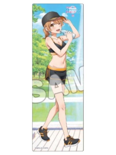 我的青春恋爱物语果然有问题-1