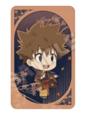 泽田纲吉B-秋和服ver小卡