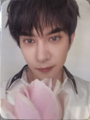 mistova前520加赠小卡 ver.B