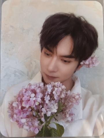 mistova前520加赠小卡 ver.D