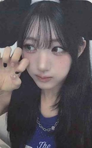 araise签售3.0 6 线上ver.