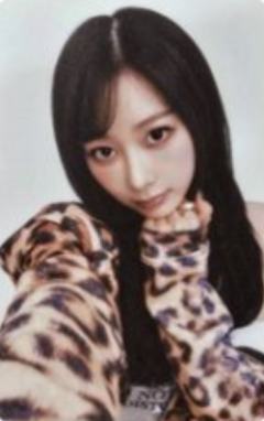 日巡随机卡 梨 ver.B