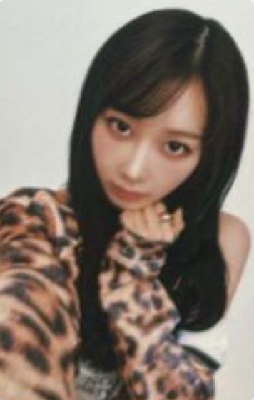 日巡随机卡 梨 ver.C