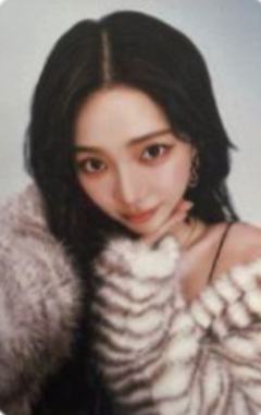 日巡随机卡 柚 ver.A