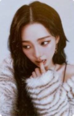 日巡随机卡 柚 ver.E