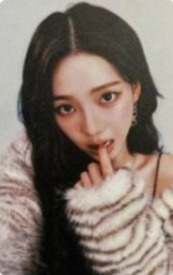 日巡随机卡 柚 ver.D