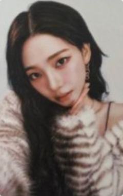 日巡随机卡 柚 ver.C