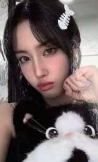 hl2.0签售 允 小猫ver.