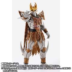 SHF 真骨雕 假面骑士空我 九朗岳的死斗套装-资料图