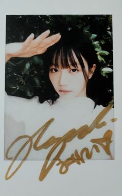 风尚志拍立得 ver.C