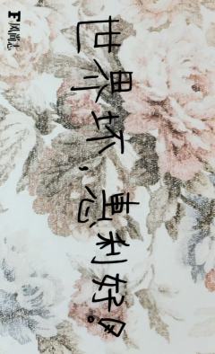 风尚志小卡 ver.F-资料图