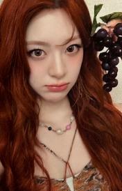 am6.0 森 线下葡萄ver.