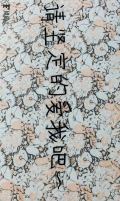 风尚志小卡 ver.B-资料图