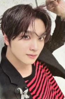 savory版专卡 ver.A