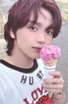 savory版专卡 ver.B