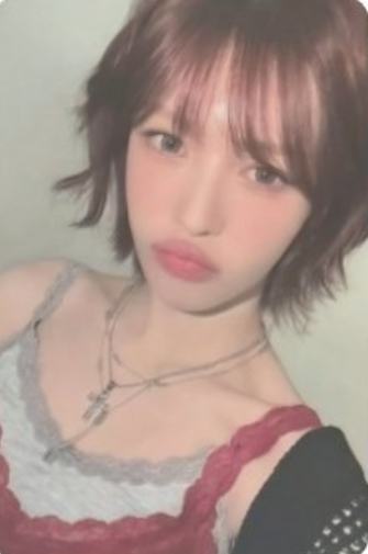 一期会员礼 ver.B