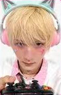 hl82快闪限定5 ver.B