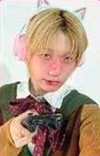 hl82快闪限定6 ver.B
