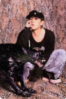 target预售5 ver.B