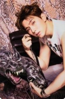target预售3 ver.B