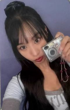 ms上海合影会2