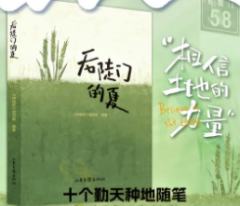 后陡门的夏