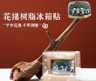花猪冰箱贴