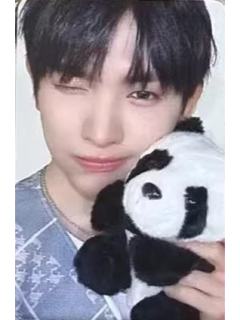 am签售2.0 5 熊猫ver.