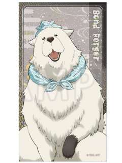 邦德·福杰(闪卡)-toho十周年纪念系列周边