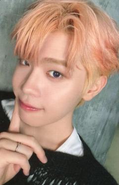 24日本fc dvd通常盘6 ver.B