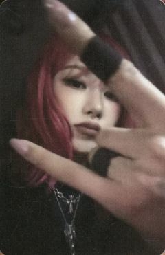 case版专卡 梨 ver.B